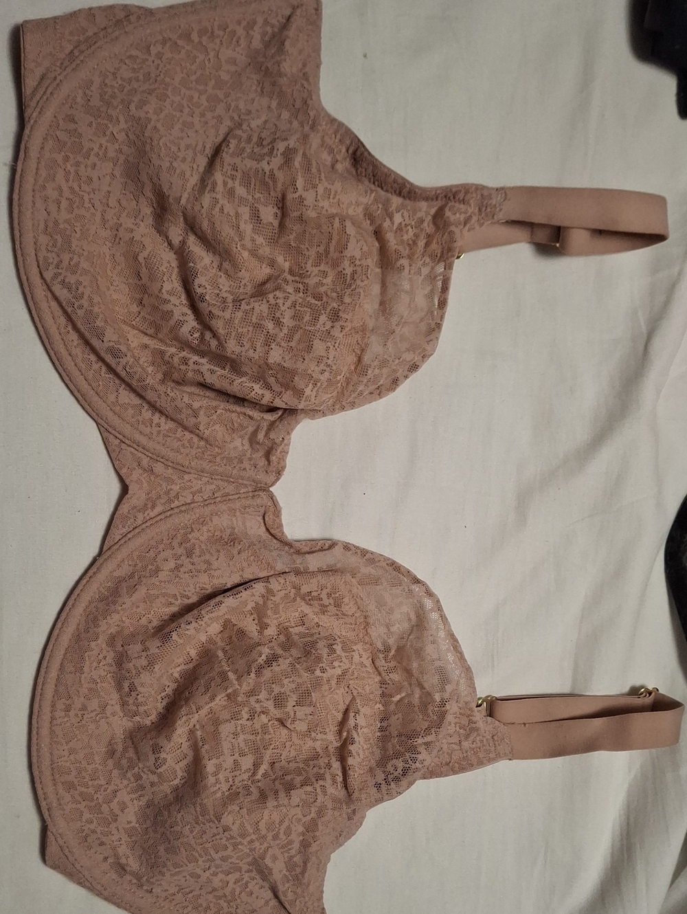 Natori Lace Full Coverage Bra in Blush